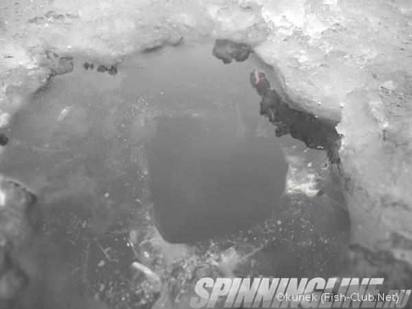 Изображение 1 : Открытие льда 2013.