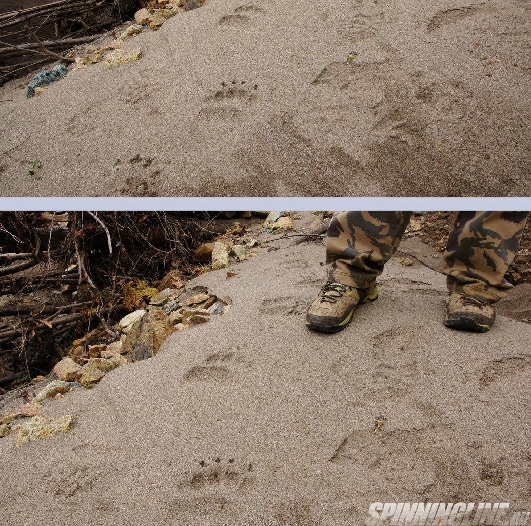 Изображение 1 : Ловим форельку в Краснодарском крае.