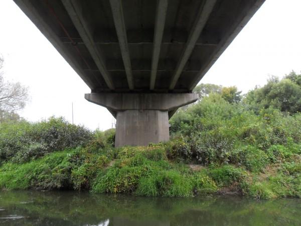 Изображение 1 : Щука под мостом.
