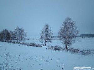 Изображение 1 : Новогодние каникулы. Часть 3. Почти пролет…