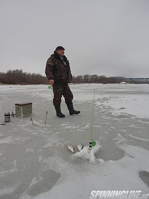 Изображение 1 : Турнир по ловле рыбы со льда на течении "В гостях у Феликса"