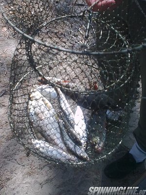 Изображение 1 : отчет о походе на рыбалке