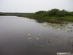 Изображение 1 : Рыбалка под самолетами