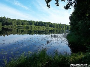 Изображение 1 : Ветлужские каникулы