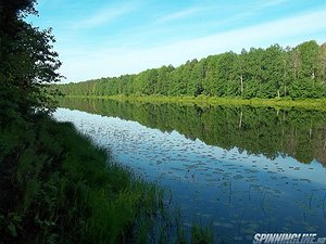 Изображение 1 : Ветлужские каникулы