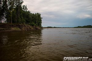 Изображение 1 : Нижняя Волга в июле