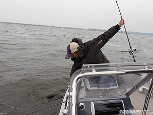 Изображение 1 : Рыболовные успехи Игоря Занкина и Дмитрия Шабалина! 