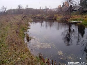 Изображение 1 : Река Кудьма 11.10.14.+три хвоста. Фоторепортаж в стиле "no comments".(№20)