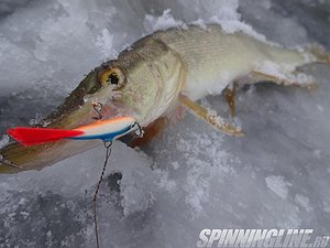 Изображение 1 : Зимний сезон. Рыбалка №2. 