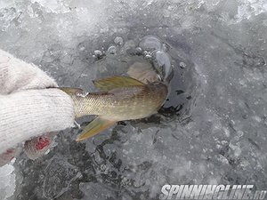 Изображение 1 : Зимний сезон. Рыбалка №2. 