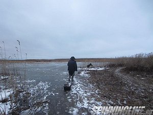 Изображение 1 : Отчет о блеснильной рыбалке на Ладожском озере, поселок Лаврово